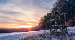 Mednieku kalendārs decembrim.