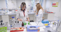 Pētniece Renāte Teterovska kopā ar studentiem strādā pie zāļu šķīšanas pētīšanas. Tādējādi saprotot, kā zāles iedarbosies dažādos organismos, piemēram, cilvēka un dzīvnieka organismos.