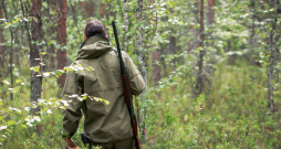 Latvijas valsts mežu atbildīgās amatpersonas medniekiem piedāvā medību tiesību nomas līgumus, kas medniekiem nav pieņemami un neliecina par vēlmi sadarboties ilgtermiņā. Ilustratīvs attēls.