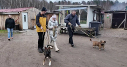 Mareks Folkmanis kopā ar meitu Jolantu un viņas bioloģisko tēvu devies uz dzīvnieku patversmi, lai izvestu pastaigā kādu sunīti. 