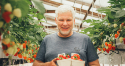 "Augusta zemenes" agronoms Guntars Dzērve.