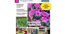 Jaunā žurnāla vāks.