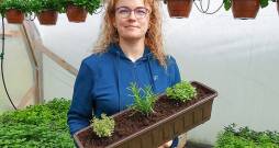 Stādaudzētavas "Karlsoni" saimniece Līga Karlsone.