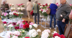 Izstāde "Peonijas 2025" Latvijas Dabas muzejā.