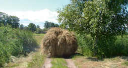 Lauku ainava.