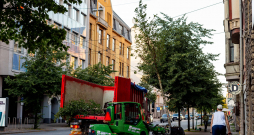 Koku stādīšana pilsētas centrā.