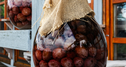 Fermentētas ogas.