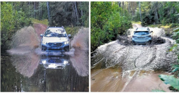 Ances purvu brasls – "Subaru" izbrauks.