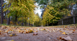 Rudens laiks. Brīvdabas muzejs.