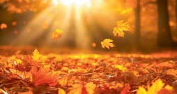 Rudens.