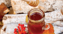 Top pīlādžkūka. Top pīlādžkūka.