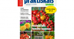 Jaunā žurnāla vāks.