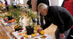 Izstāde "Ķirbjaugi un paprika 2025" Latvijas Nacionālajā dabas muzejā.