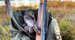 Pusautomātiskais ierocis ir pietiekami ērts putnu medībām. Pusautomātiskais ierocis ir pietiekami ērts putnu medībām.