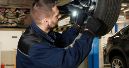 Visbiežāk kompetences novērtējumu kārto ēdināšanas un pārtikas ražošanas nozarēs, taču sertifikāti tiek izsniegti arī tūrisma pakalpojumu konsultanta, loģistikas darbinieka, mēbeļu galdnieka un automehāniķa profesijā. Visbiežāk kompetences novērtējumu kārto ēdināšanas un pārtikas ražošanas nozarēs, taču sertifikāti tiek izsniegti arī tūrisma pakalpojumu konsultanta, loģistikas darbinieka, mēbeļu galdnieka un automehāniķa profesijā.