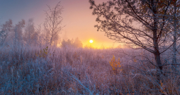 Burvīgs novembra rīts. Burvīgs novembra rīts.