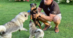 Viesturs Arklons un viņa suņi. Viesturs Arklons un viņa suņi.