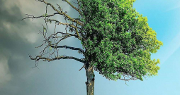 Pasaule jau šobrīd ir sasilusi par 1,3 grādiem, salīdzinot ar industriālās ēras sākumu, un iespējas apstāties pie pusotra grāda robežas, kā to paredz 2015. gada Parīzes līgums, ir samērā niecīgas. Lai to panāktu, 2035. gadā oglekļa emisijas būtu jāsamazina nevis par 10%, salīdzinot ar 2019. gadu, bet gan par 60%. Pasaule jau šobrīd ir sasilusi par 1,3 grādiem, salīdzinot ar industriālās ēras sākumu, un iespējas apstāties pie pusotra grāda robežas, kā to paredz 2015. gada Parīzes līgums, ir samērā niecīgas. Lai to panāktu, 2035. gadā oglekļa emisijas būtu jāsamazina nevis par 10%, salīdzinot ar 2019. gadu, bet gan par 60%.