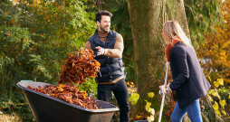 Plānojot lapu grābšanu, jāseko līdzi laika apstākļu prognozēm.