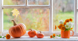 Rudens laiks. Rudens laiks.