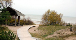 Pāvilostas pelēkā kāpa. Pāvilostas pelēkā kāpa.