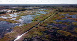 Sedas purvs. Sedas purvs.