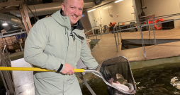 “Vēl kāds mēnesis jāpaaugas,” Lauris Apsis izvērtē Arktikas paliju svaru. Zivij jāsasniedz 1,5 kg, kad to pārved uz atpeldināšanas
baseinu, un pēc divām nedēļām aizceļo pie patērētājiem.