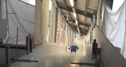 Starptautiskajā sporta apritē šonedēļ atgriežas Krievijas kamaniņu braucēji, kuri Kortīnas ledus trasē startēs kā tā dēvētie neitrālie sportisti. Starptautiskajā sporta apritē šonedēļ atgriežas Krievijas kamaniņu braucēji, kuri Kortīnas ledus trasē startēs kā tā dēvētie neitrālie sportisti.