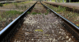 Ilustratīvs attēls.