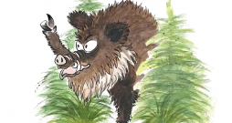 Pēkšņi no biezokņa pavisam blakus man parādījās liela galva… Sirma, masīva, acis kā pogas, deguns tvaikoja. Tas bija kuilis, kam pat lācis dotu ceļu!