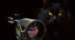 Tēmēklis Pantera EX 640. Tēmēklis Pantera EX 640.