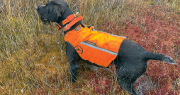 Šīs vestes ražo Francijas uzņēmums "Solognac", un tās var iegādāties interneta veikalā "decathlon.lv" vai "Decathlon" veikalos Rīgā.