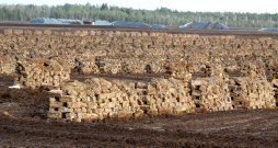 Kaigu kūdras purvs, Līvbērzes pagasts, Jelgavas novads. 