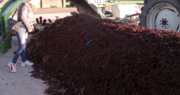 Komposta jaucējs un krāvums (stirpās) intensīvajā komposta veidošanas sistēmā.