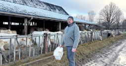 Kursīšu pagasta zemnieku saimniecības "Brūzilas AV" saimnieks Vilnis Štencelis un viņa dzīvesbiedre Agnese Arne–Štencele gaļas liellopu nozari ar diviem liellopiem sāka attīstīt 2015. gadā, dibinot SIA "Airene", kuras patiesā labuma guvēja ir Agnese. Vilnis uzsver, ka aizvadītajos gados abu – piena un gaļas lopu – saimniecību darbība ir cieši savijusies, tāpēc labākai atpazīstamībai reģistrēts zīmols "Brūzilu liellops". "Esmu uzkrājis zināmu pieredzi un labprāt ar to dalos. Ja kādam izdosies labāk nekā man, mācīšos. Vien tā varam attīstīties," teic saimnieks. Kursīšu pagasta zemnieku saimniecības "Brūzilas AV" saimnieks Vilnis Štencelis un viņa dzīvesbiedre Agnese Arne–Štencele gaļas liellopu nozari ar diviem liellopiem sāka attīstīt 2015. gadā, dibinot SIA "Airene", kuras patiesā labuma guvēja ir Agnese. Vilnis uzsver, ka aizvadītajos gados abu – piena un gaļas lopu – saimniecību darbība ir cieši savijusies, tāpēc labākai atpazīstamībai reģistrēts zīmols "Brūzilu liellops". "Esmu uzkrājis zināmu pieredzi un labprāt ar to dalos. Ja kādam izdosies labāk nekā man, mācīšos. Vien tā varam attīstīties," teic saimnieks.