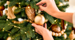 Ziemassvētku laiks. Ziemassvētku laiks.