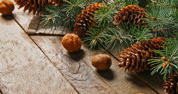 Ilustratīvs attēls. Ilustratīvs attēls.