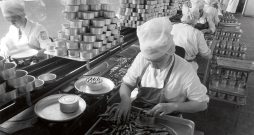 Zivju konservēšanas Kirovas zvejniecības kolhozā netālu no Tallinas, Igaunijā (tolaik Padomju Krievijā). 1966. gads.