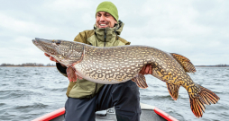 Var noķert lielu līdaku, bet rekordu sarakstā tā parādīsies tikai tad, kad informācija par to nonāks līdz sabiedrībai. Ilustratīvs attēls.