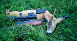 Buks nomedīts jūlija otrajā pusē Pulsar Oryx (Ieskaties.lv) testa medībās.