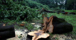 Ilustratīvs attēls.