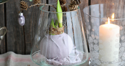 Parafīna “mētelīšos” tērptos podiņus var likt arī svētku dekoros, sīpolus izceļot kā īpašus akcentus. Parafīna “mētelīšos” tērptos podiņus var likt arī svētku dekoros, sīpolus izceļot kā īpašus akcentus.