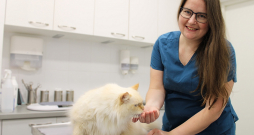 Kaķim Mincim ir 11 gadi. Saimniece divu gadu laikā vairākkārt vērsusies ar nelielām, akūtām veselības problēmām, kas veiksmīgi atrisinātas, bet kopumā kaķis vesels, labām asins analīzēm, omulīgs un rotaļīgs – atzīst veterinārārste Māra Vasiļevska.