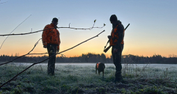 Pēc izsniegtajām sezonas kartēm var secināt, ka aktīvo mednieku skaitam Latvijā ir tendence samazināties.