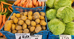 Aizvadītajā gadā dārzeņu audzēšana bija izaicinājums jau no to stādīšanas brīža – raža atšķiras pa reģioniem, tās uzglabāšana apgrūtināta visiem. Aizvadītajā gadā dārzeņu audzēšana bija izaicinājums jau no to stādīšanas brīža – raža atšķiras pa reģioniem, tās uzglabāšana apgrūtināta visiem.