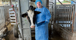 Ilga Šematoviča: "Embriju transference ir iespēja ātrā laikā izveidot tādu ganāmpulku, kādu saimnieks iecerējis, tomēr – lai tas izdotos veiksmīgi, īpaši piena lopkopības saimniecībās, būtisks ir govs olšūnu kvalitātes līmenis."