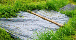 Labs nezāļu iznīcināšanas paņēmiens ir noklāt augsni ar agrotekstilu.