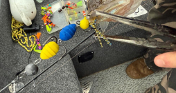 Ukrainas karoga krāsojums iezogas visās mānekļu grupās. Un pelnīti.