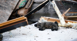 VUGD strādā sadegušajā mājā Jaunlazdu ielā 5.