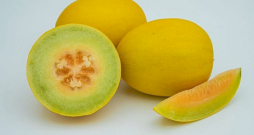 Ķiršmelone. Ķiršmelone.